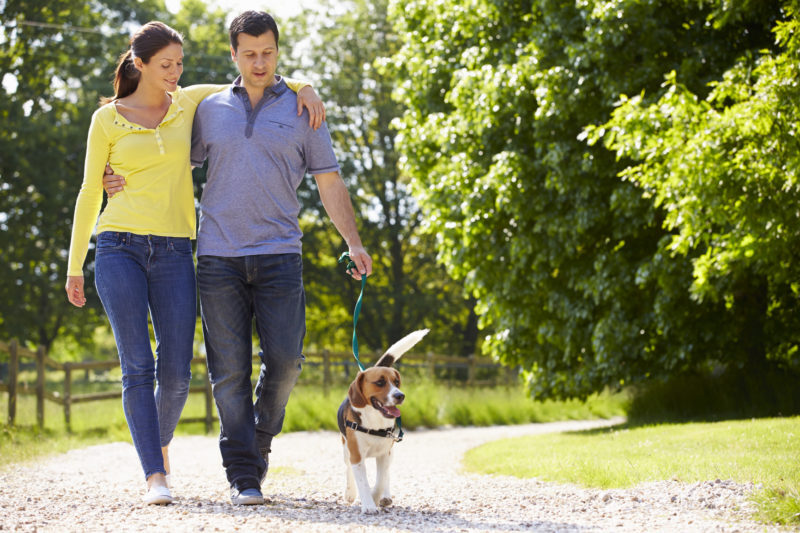 hispanic-couple-taking-dog-for-walk-in-countryside
